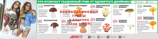 марки nbome Вяземский