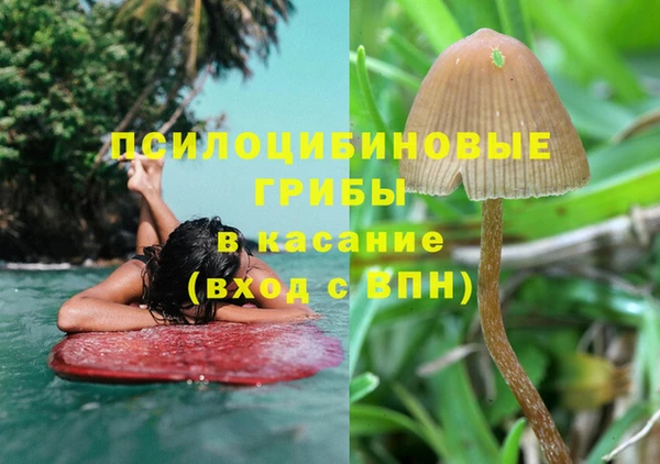 каннабис Вязники